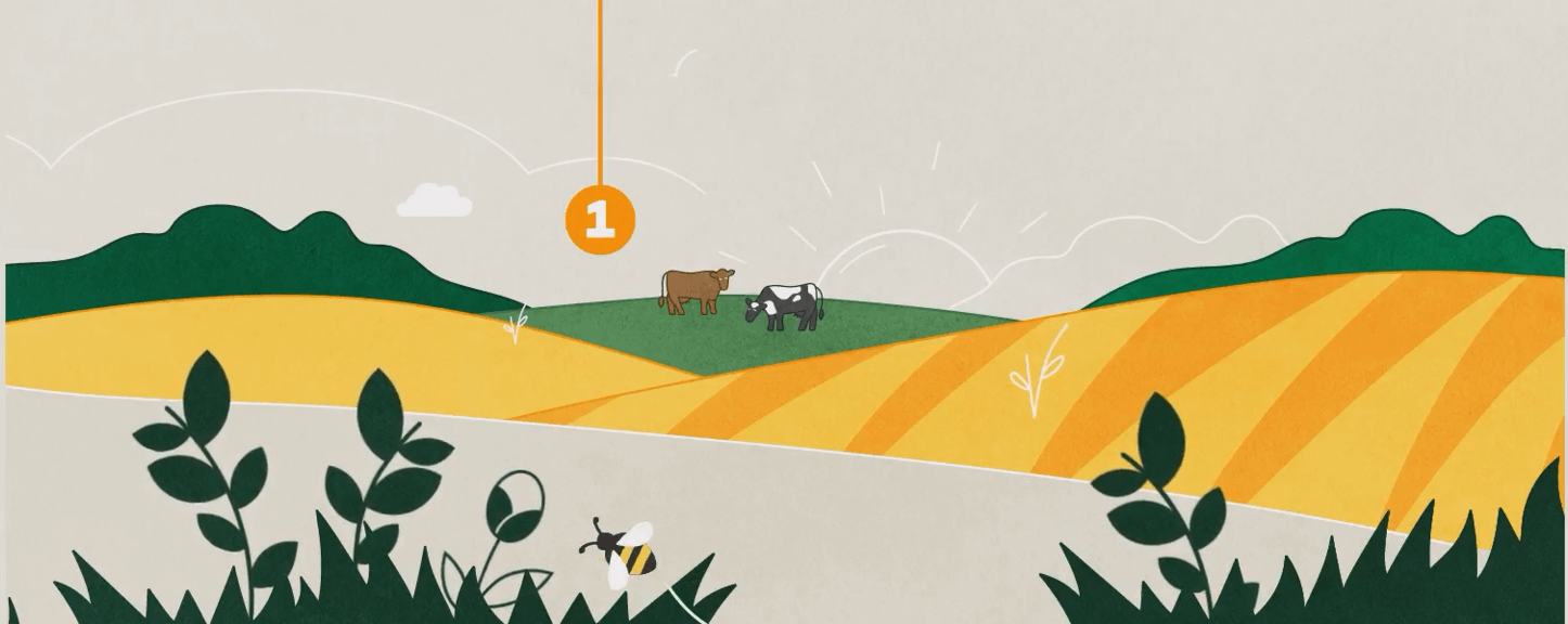 IMPROVING PROTECTION OF NATURE AND  BIODIVERSITY