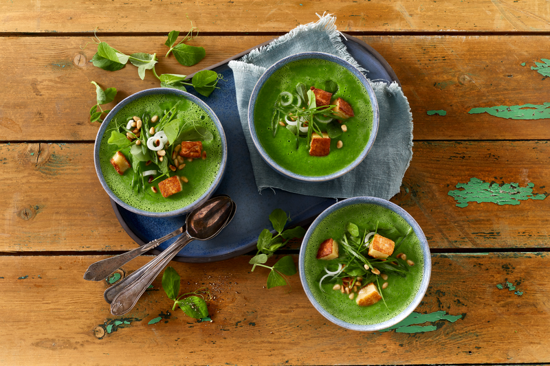 Soup recipes 