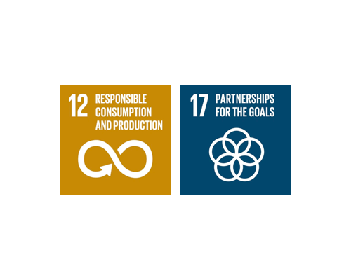 The UN Global Goals of Sustainable Development