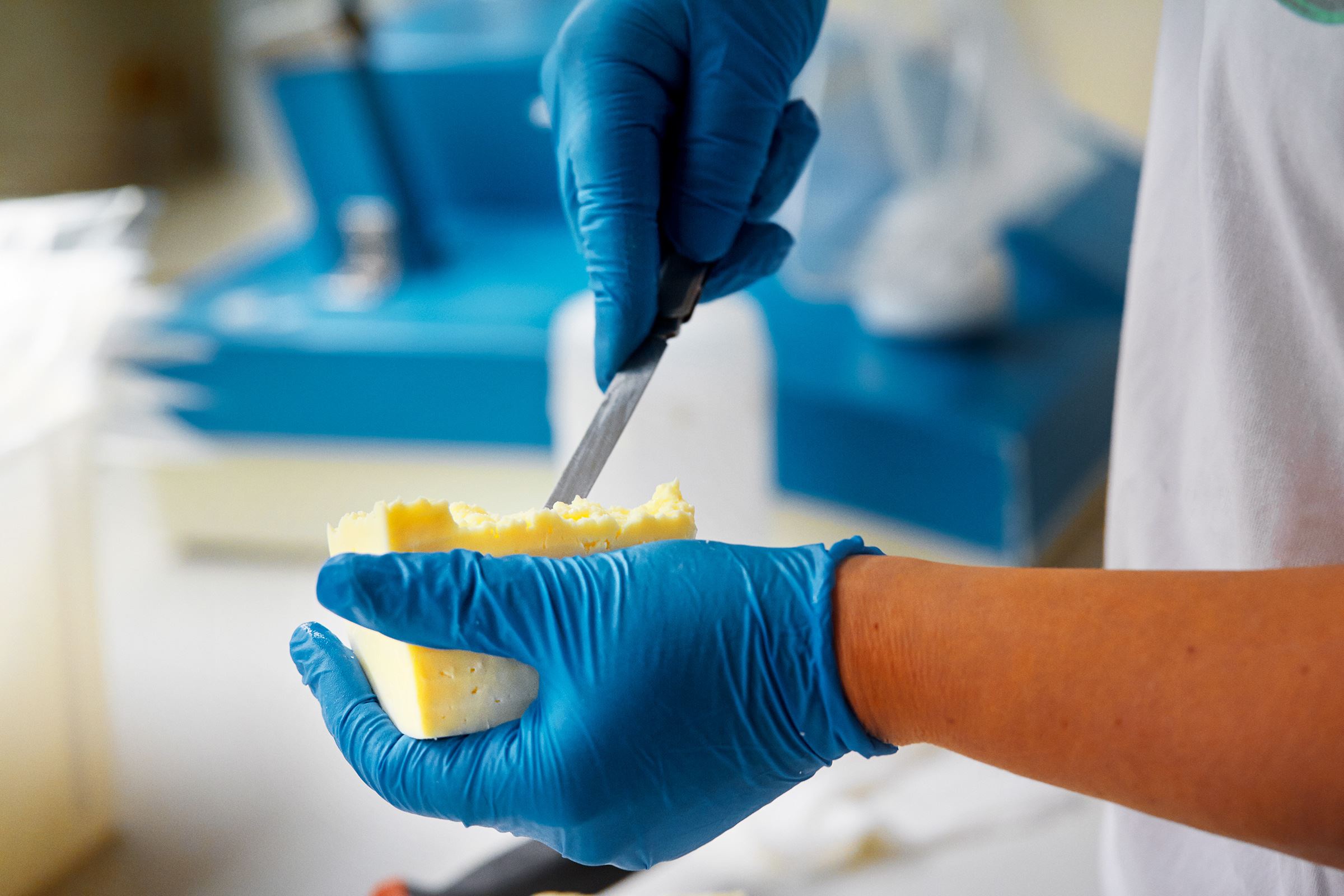 Close up of hands cutting cheese