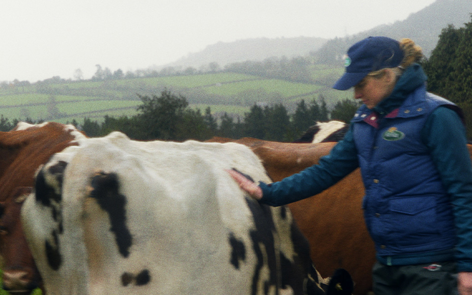 We look after our girls