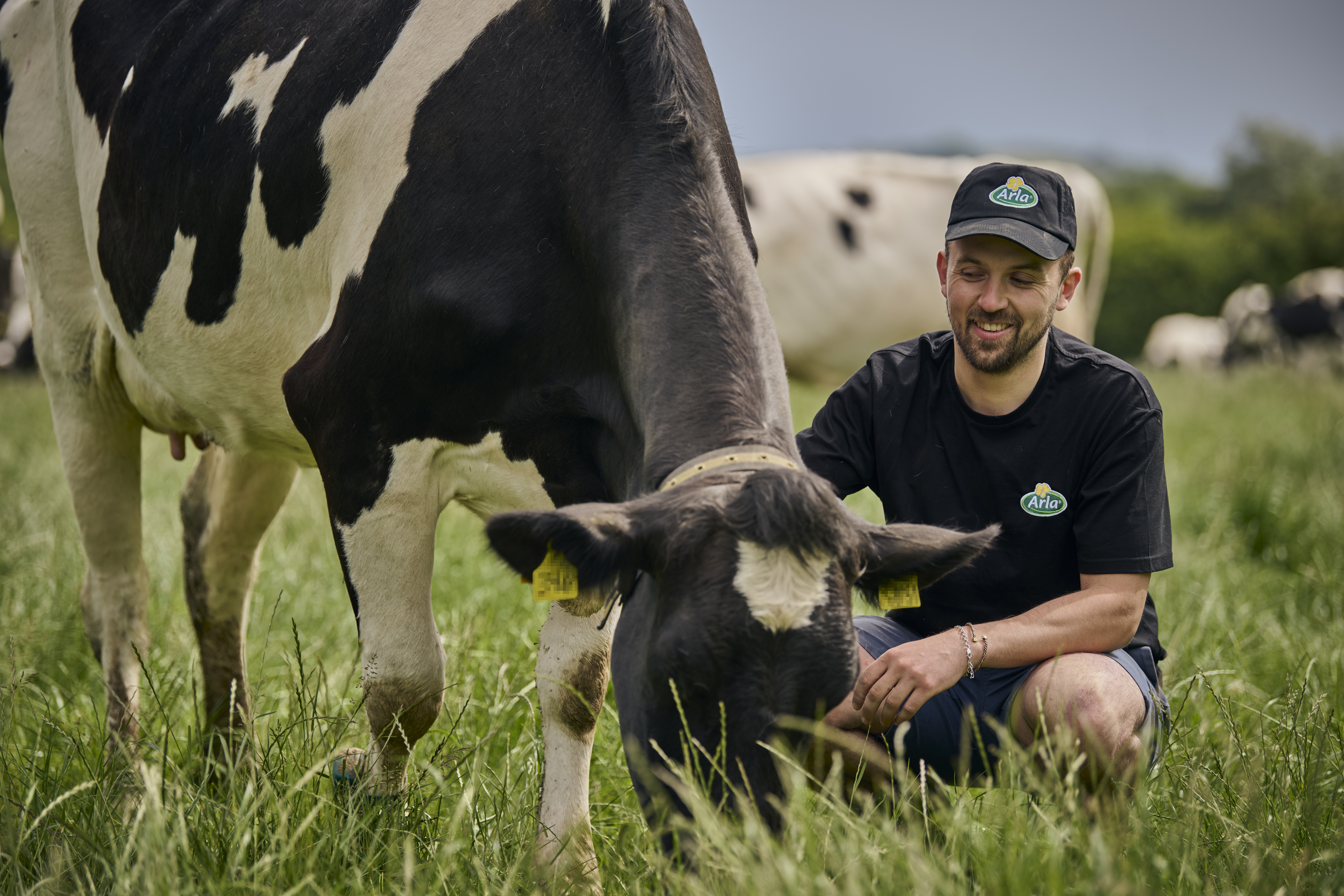 What is Arla CARE?