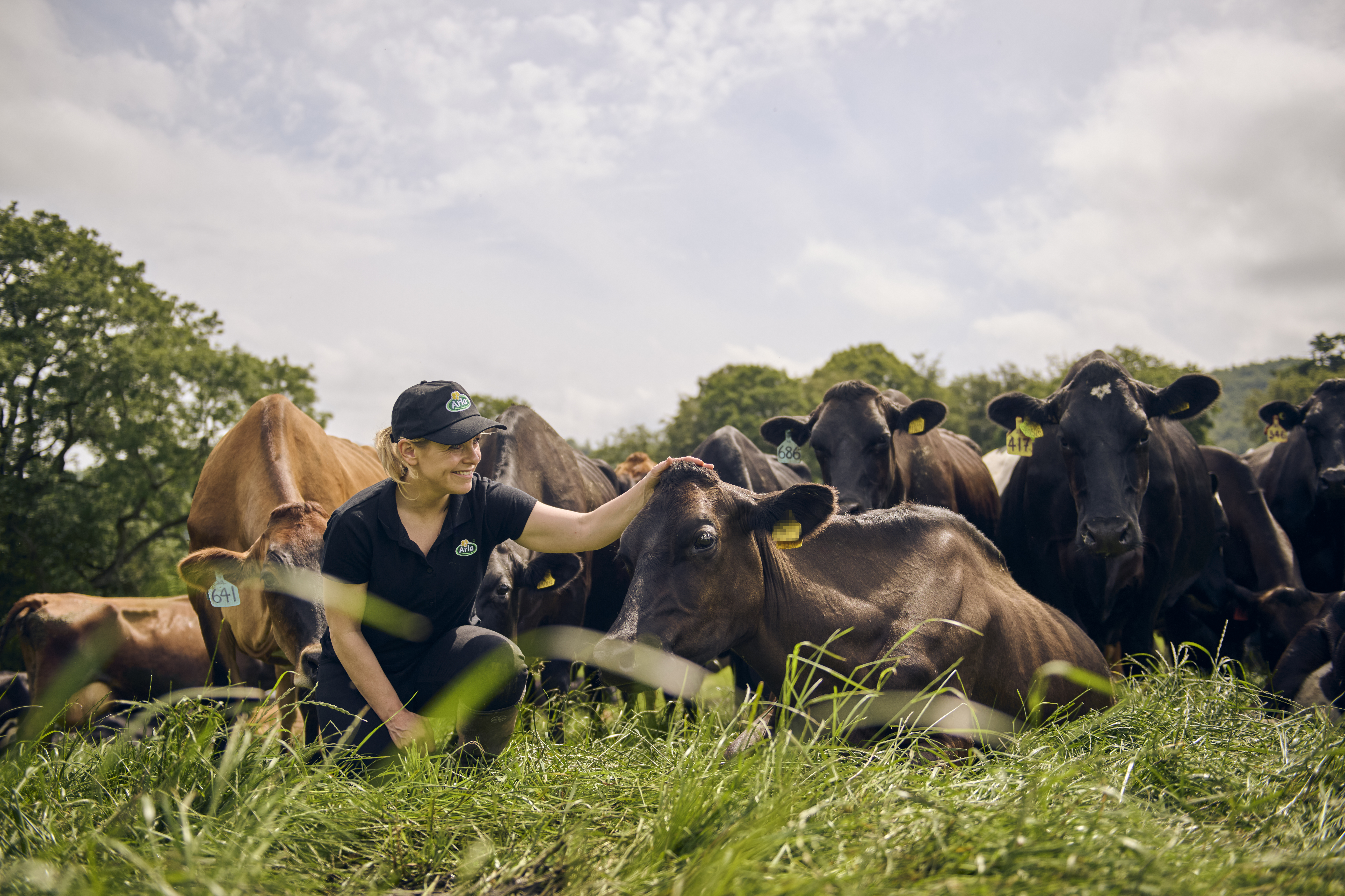 Our partnership with Map of Ag