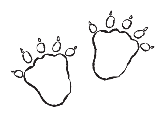 Gruffalo footprints