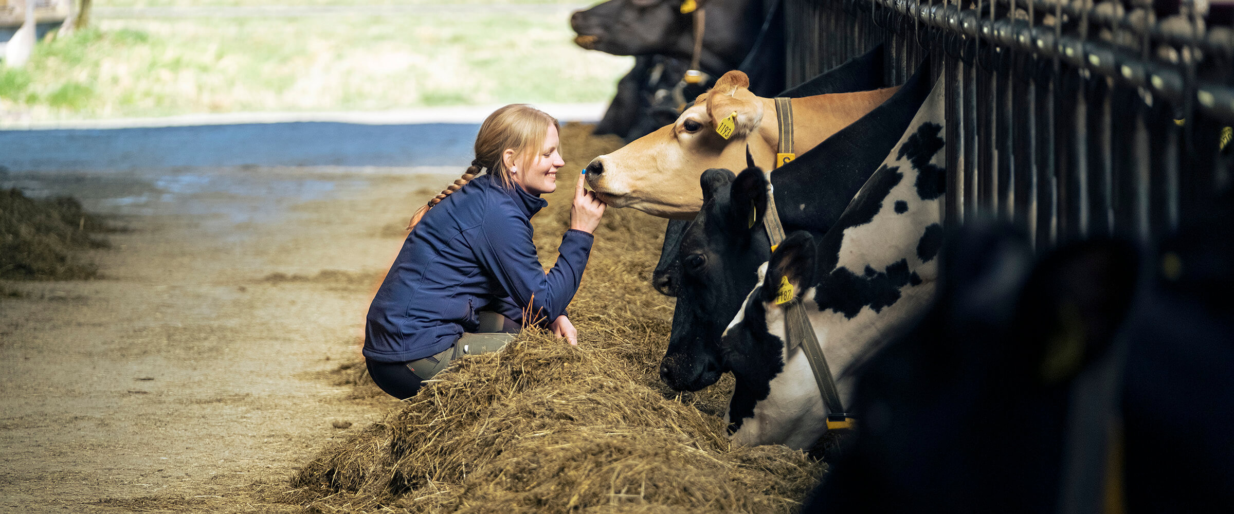 Farmer with a cow 