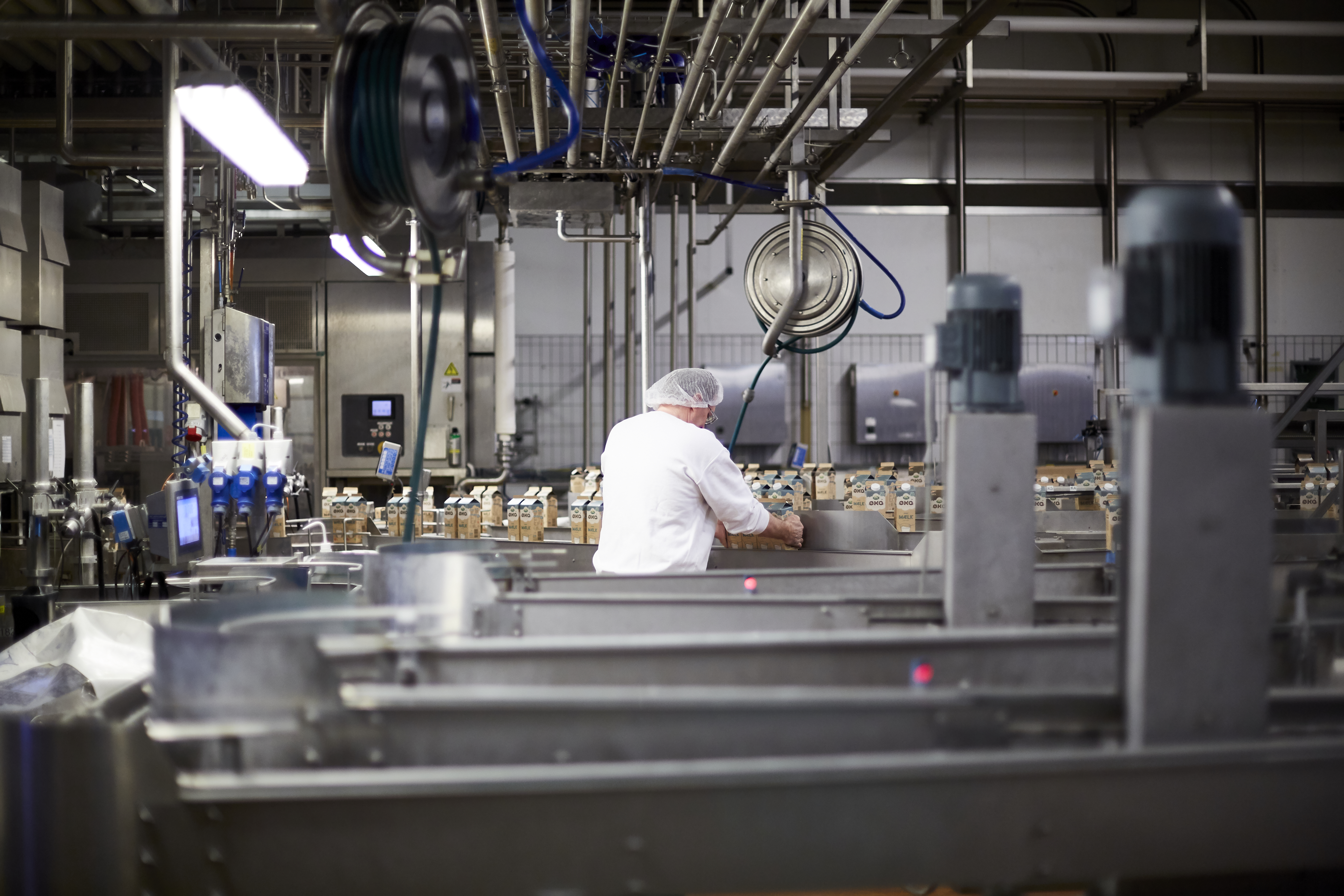 Inside of a dairy