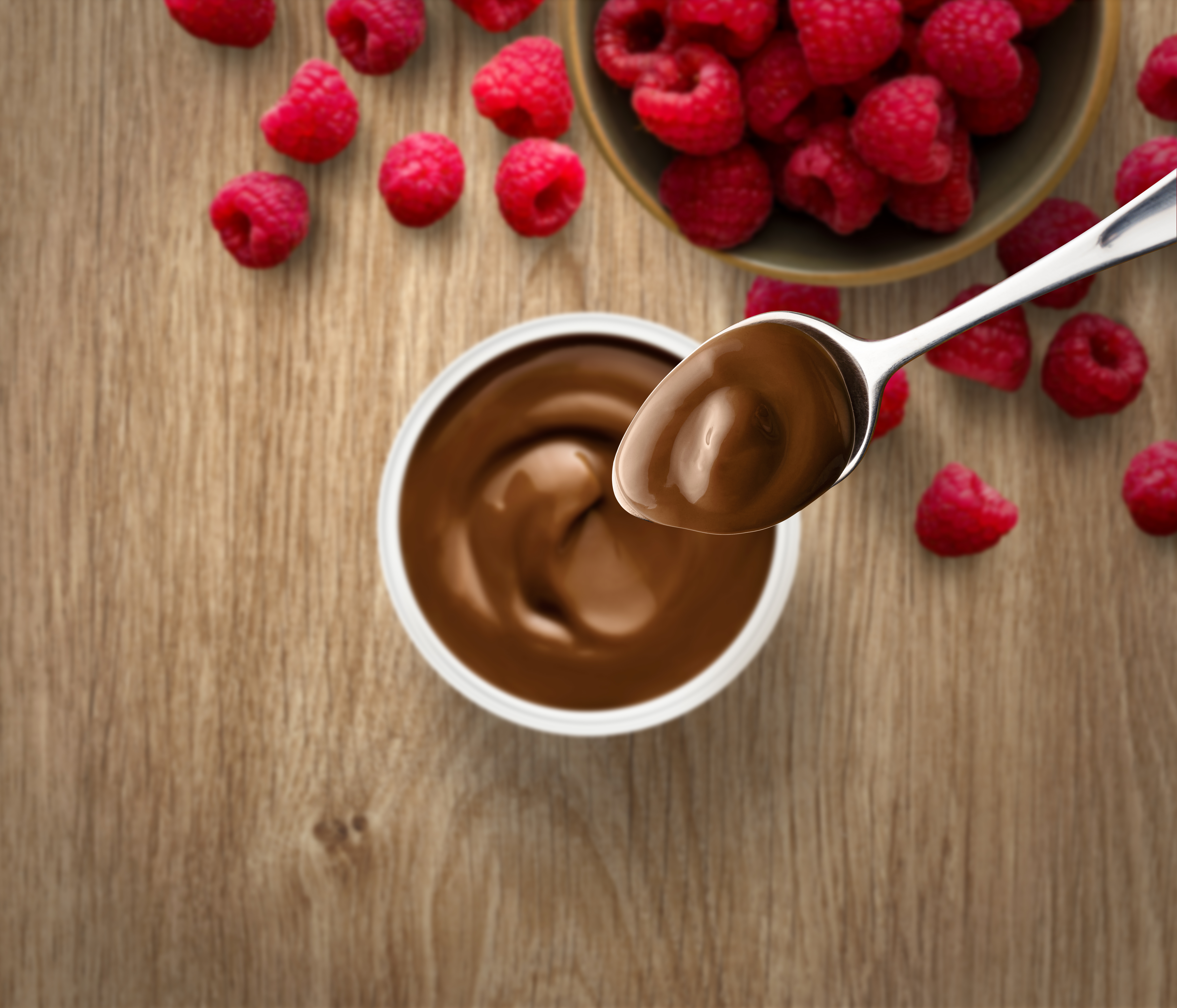 Protein pudding