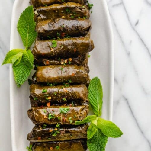 Final stuffed grape leaves lined up on a long plate