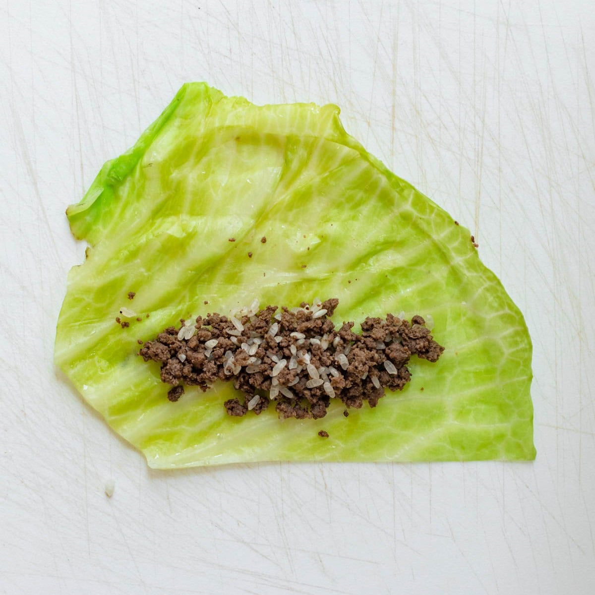 Filling in leaf.