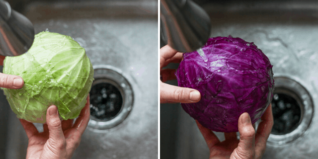 Collage of green and red cabbage being washed in a sink
