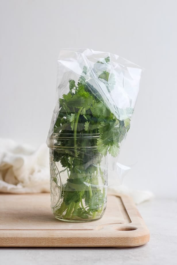 cilantro in a jar wrapped in plastic wrap