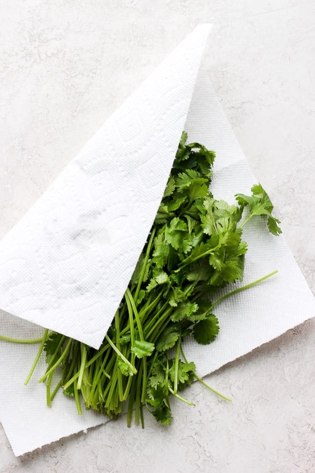 cilantro in a paper towel