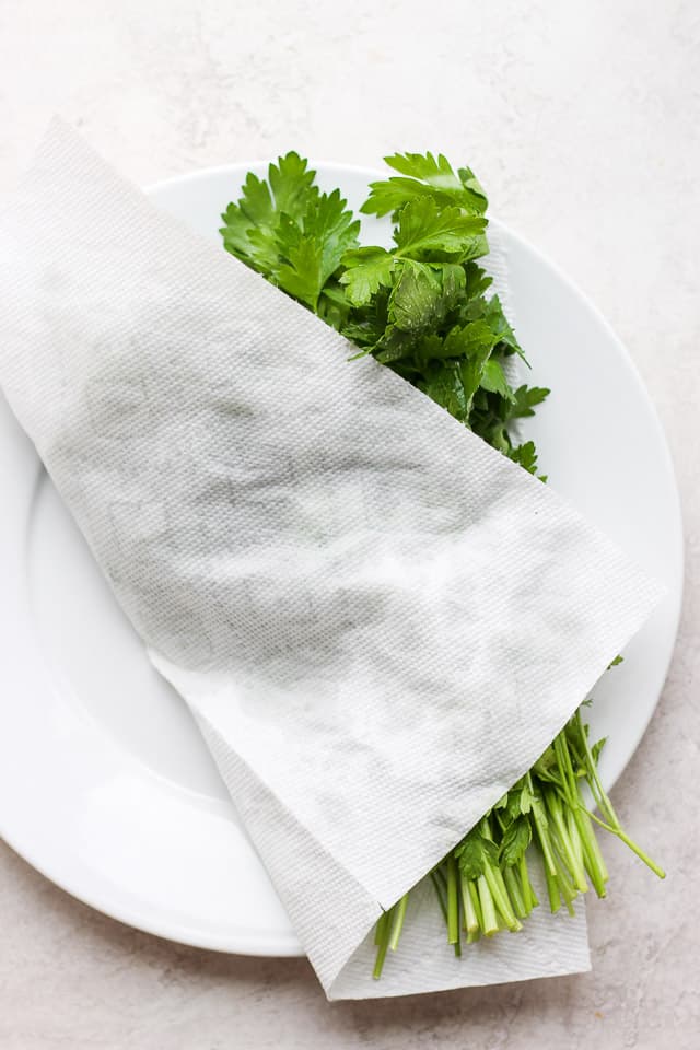 Washed parsley on a plate covered with paper towel