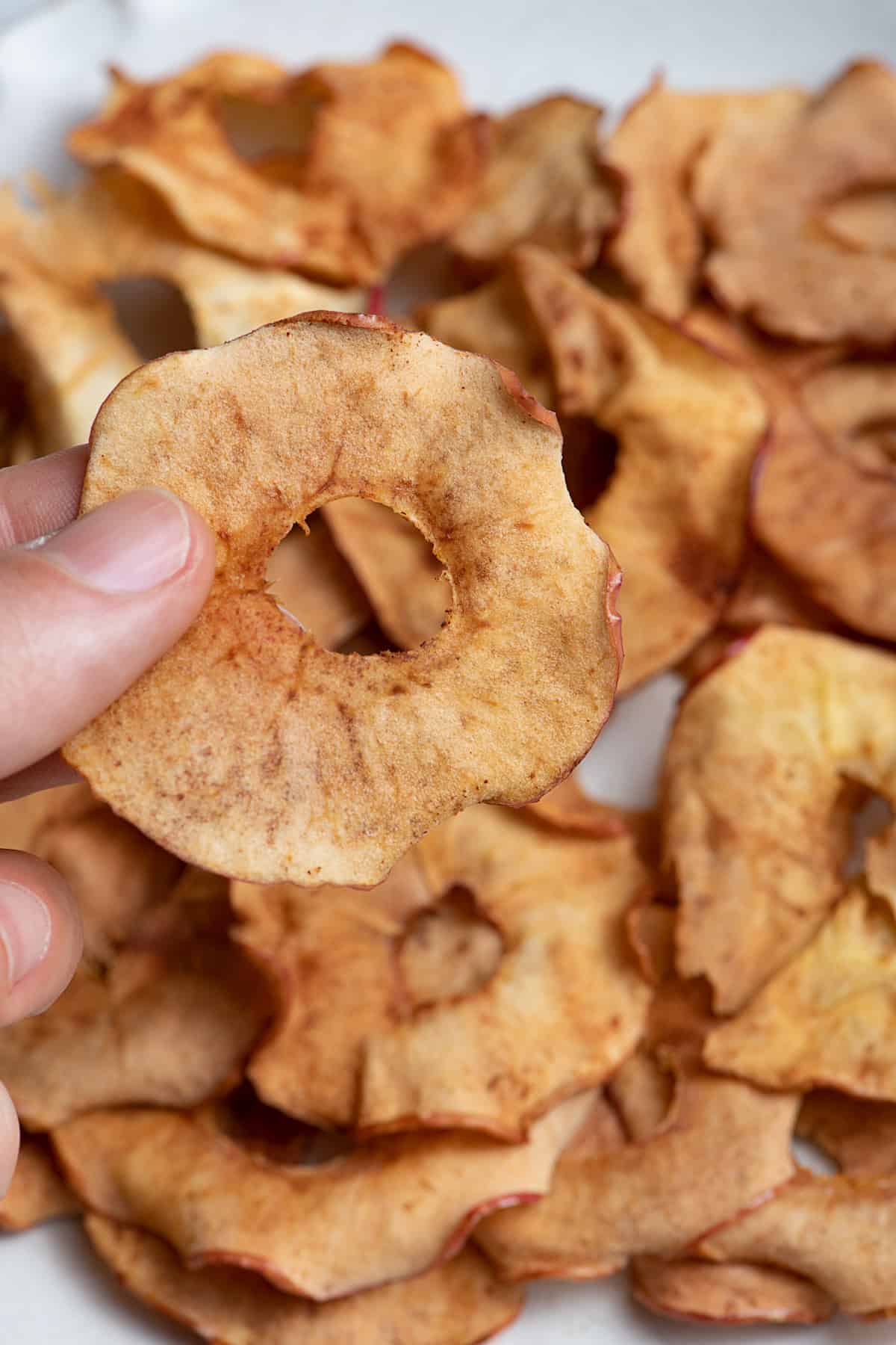 Hand holding apple chip to show crispy texture