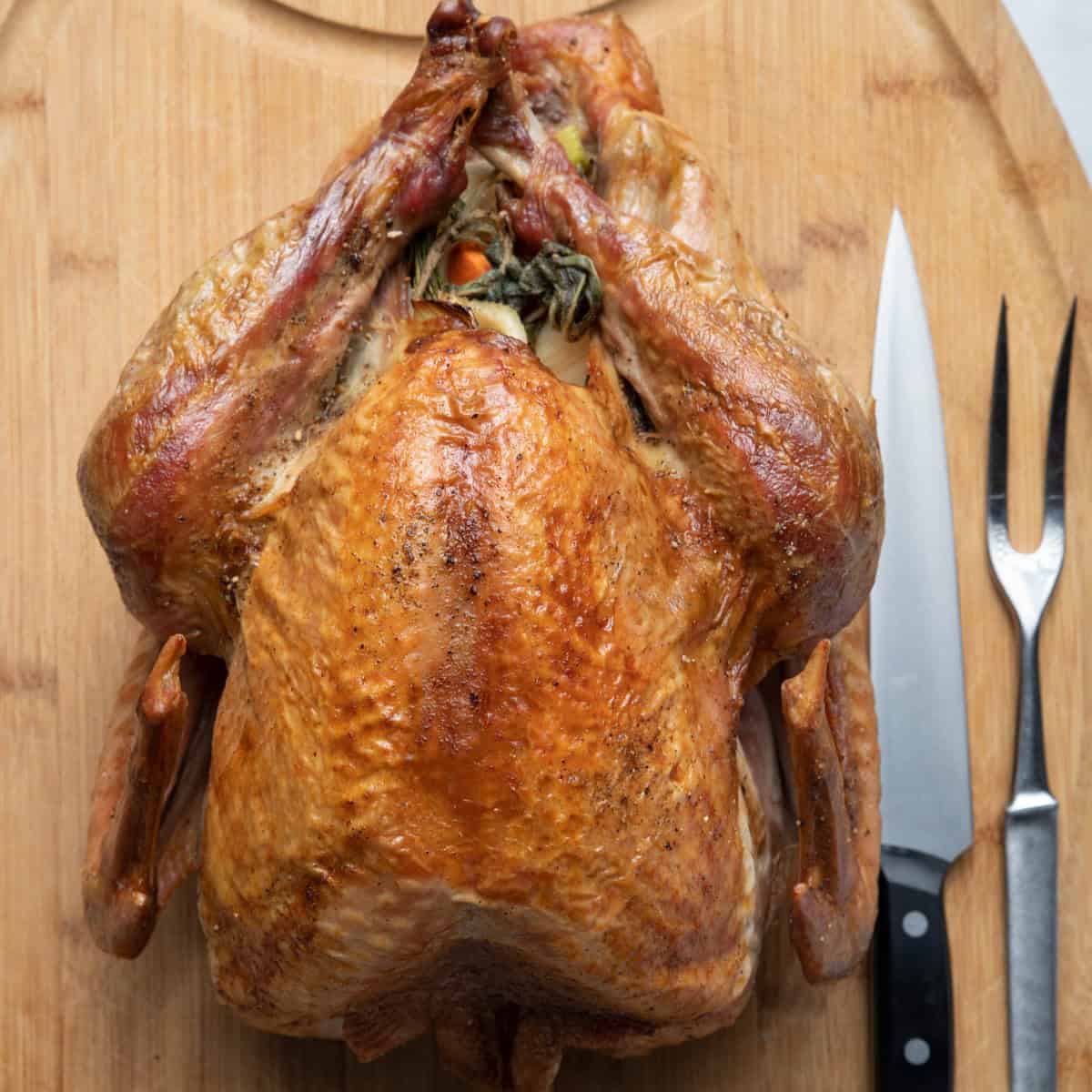 Turkey before cutting.
