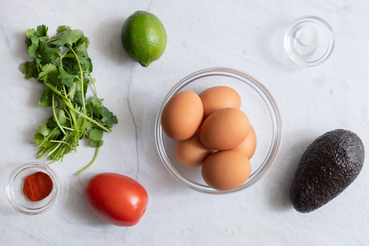 ingredients for recipe: cilantro sprigs, chili powder, tomato, lime, 6 brown eggs in bowl, salt, and avocado