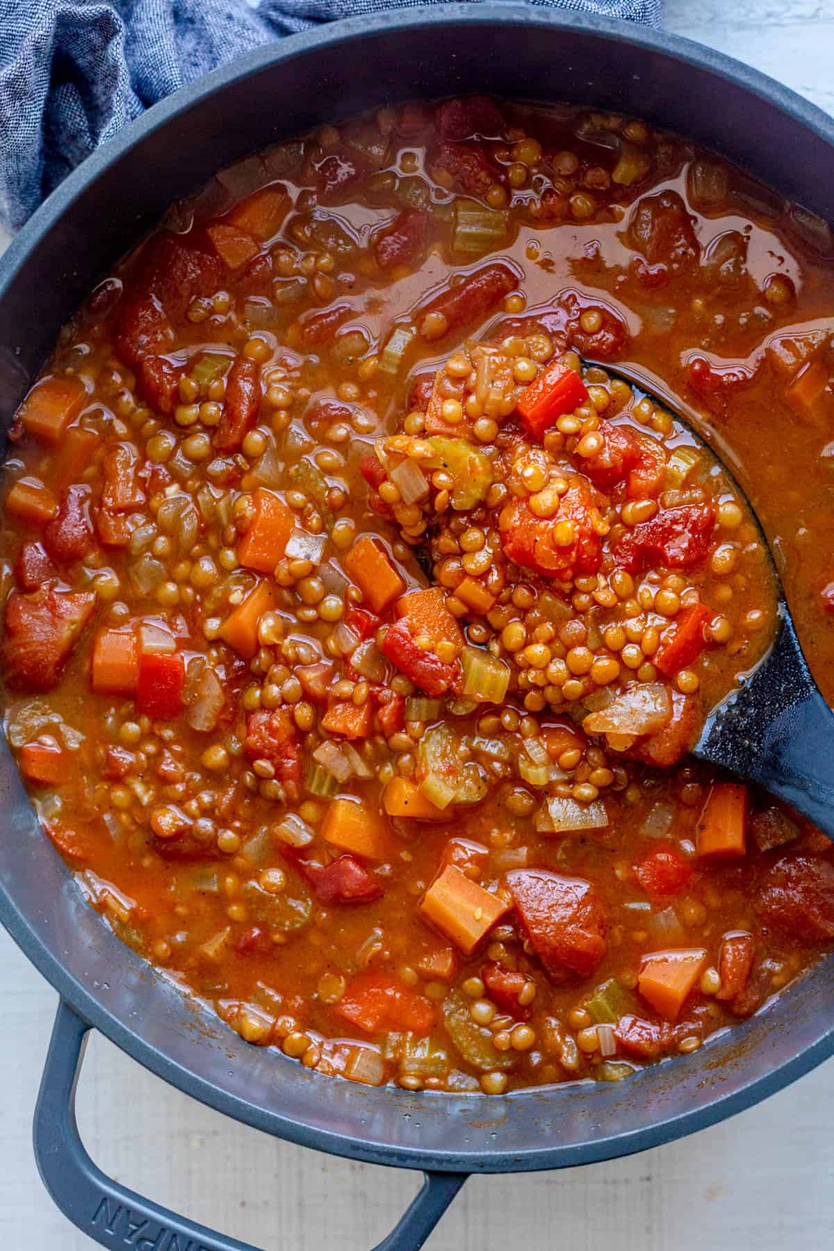 Ladle scooping up a serving of tomato lentil soup from pot.