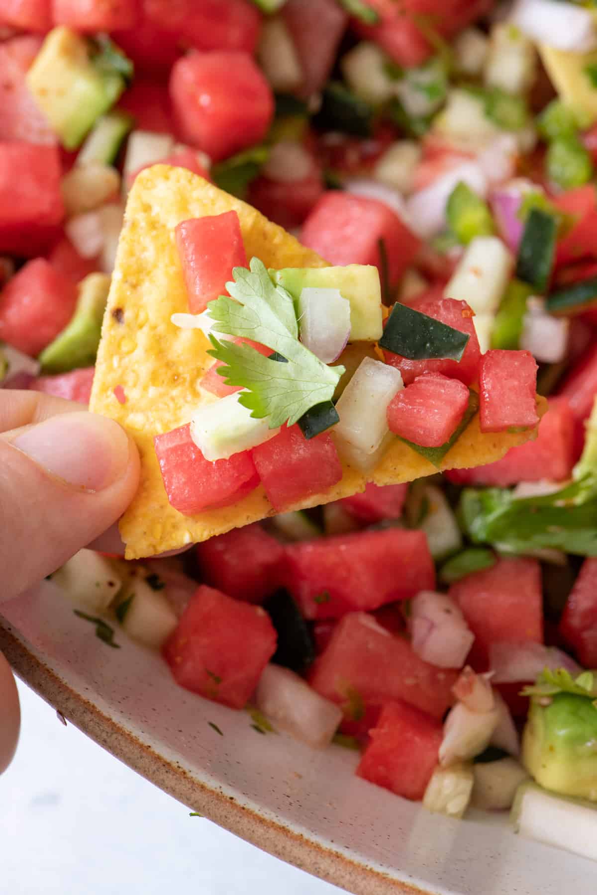 Close up of watermelon salsa on a chip.