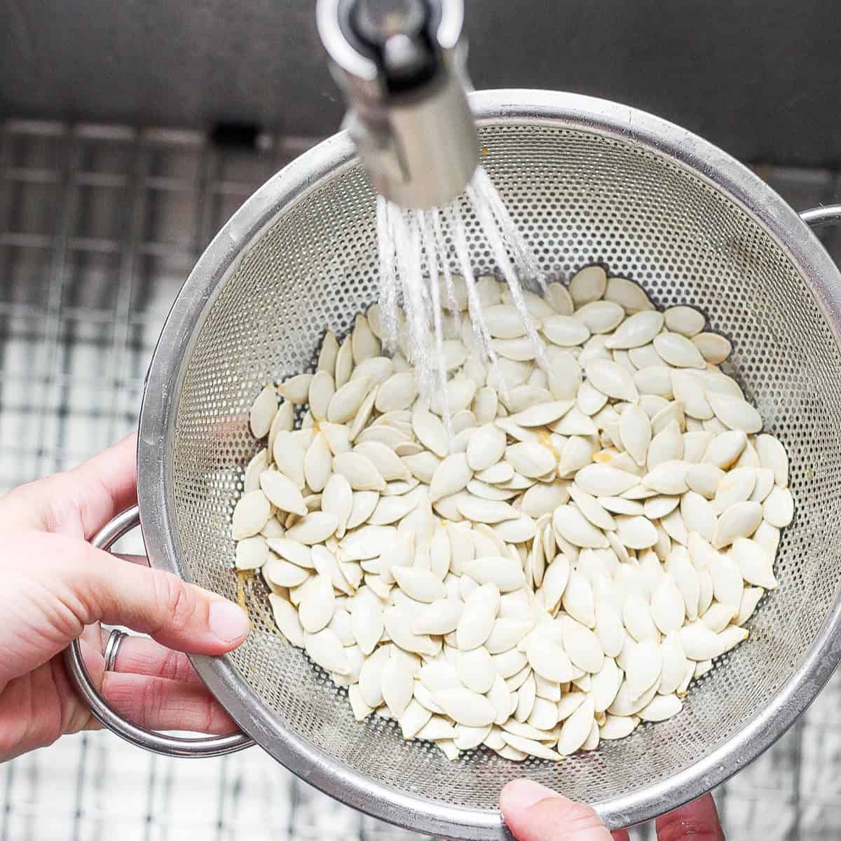 Rinsing the seeds.