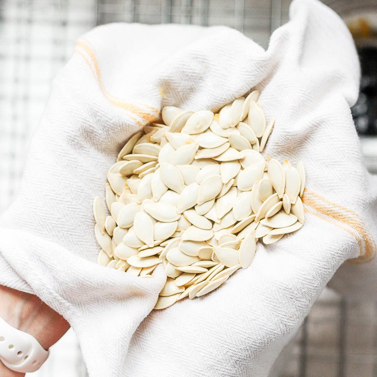 Drying the seeds.