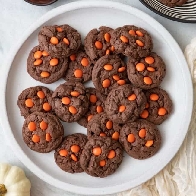 Dark Chocolate Halloween Cookies.