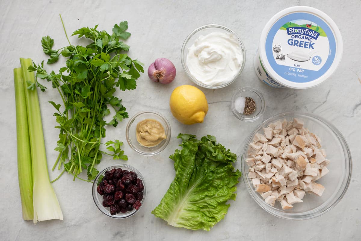 Ingredients for sandwich recipe: cubed cooked turkey, celery, shallot, Stonyfield Organic Greek Yogurt, dijon mustard, lemon, seasonings, dried cranberries, dinner rolls, and lettuce.