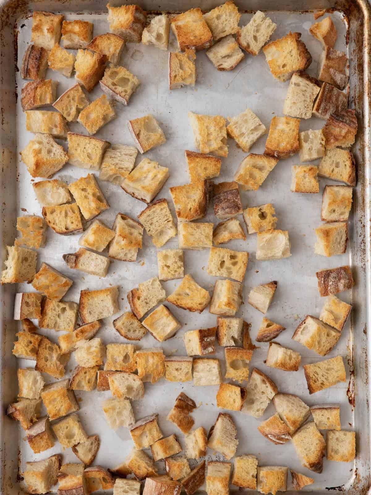 Bread cubes on baking sheet after baking.