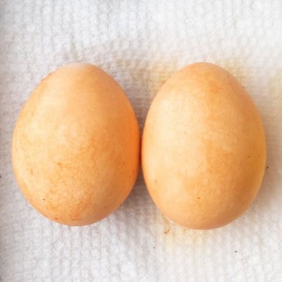 Orange eggs.