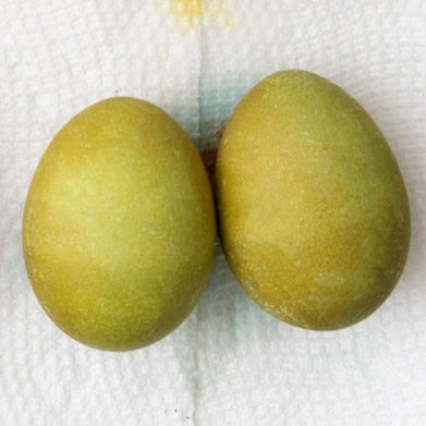 Green eggs.