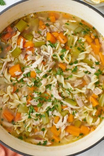 Close up view of the easy chicken noodle soup in a large bowl with lemon slices