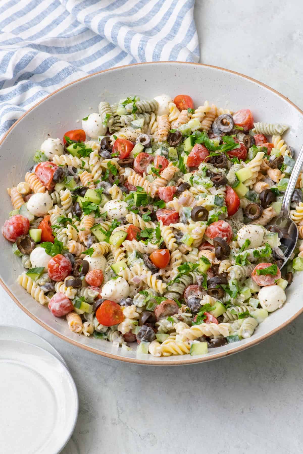 Final dish of Italian pasta salad with fresh cut veggies, cheese, and fresh herbs.