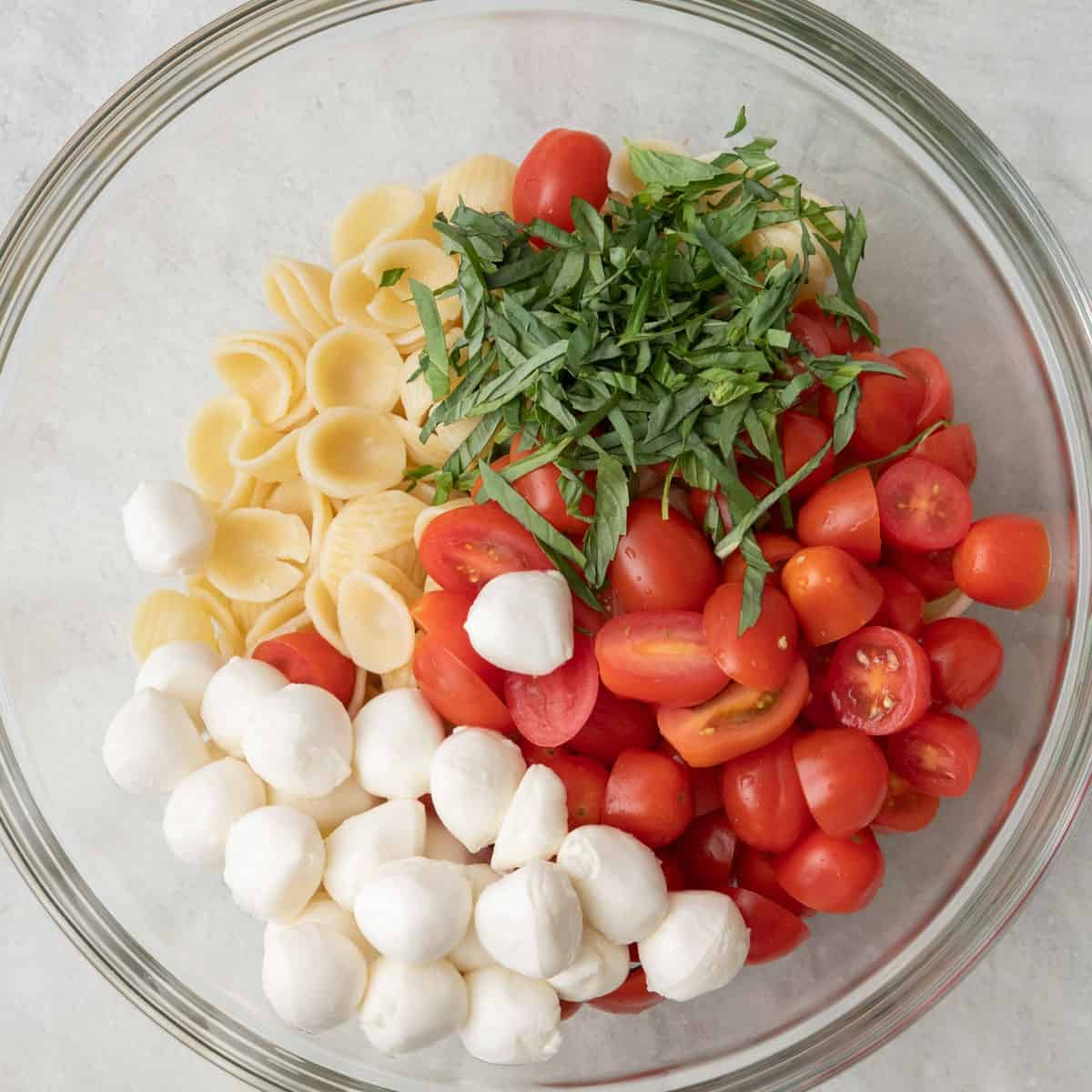 Mozzarella, basil and tomatoes added on top separately.