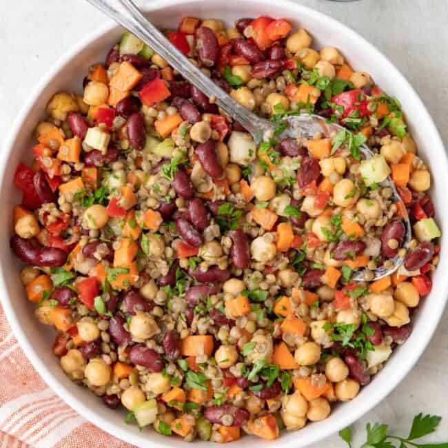 Red Kidney Bean Salad.