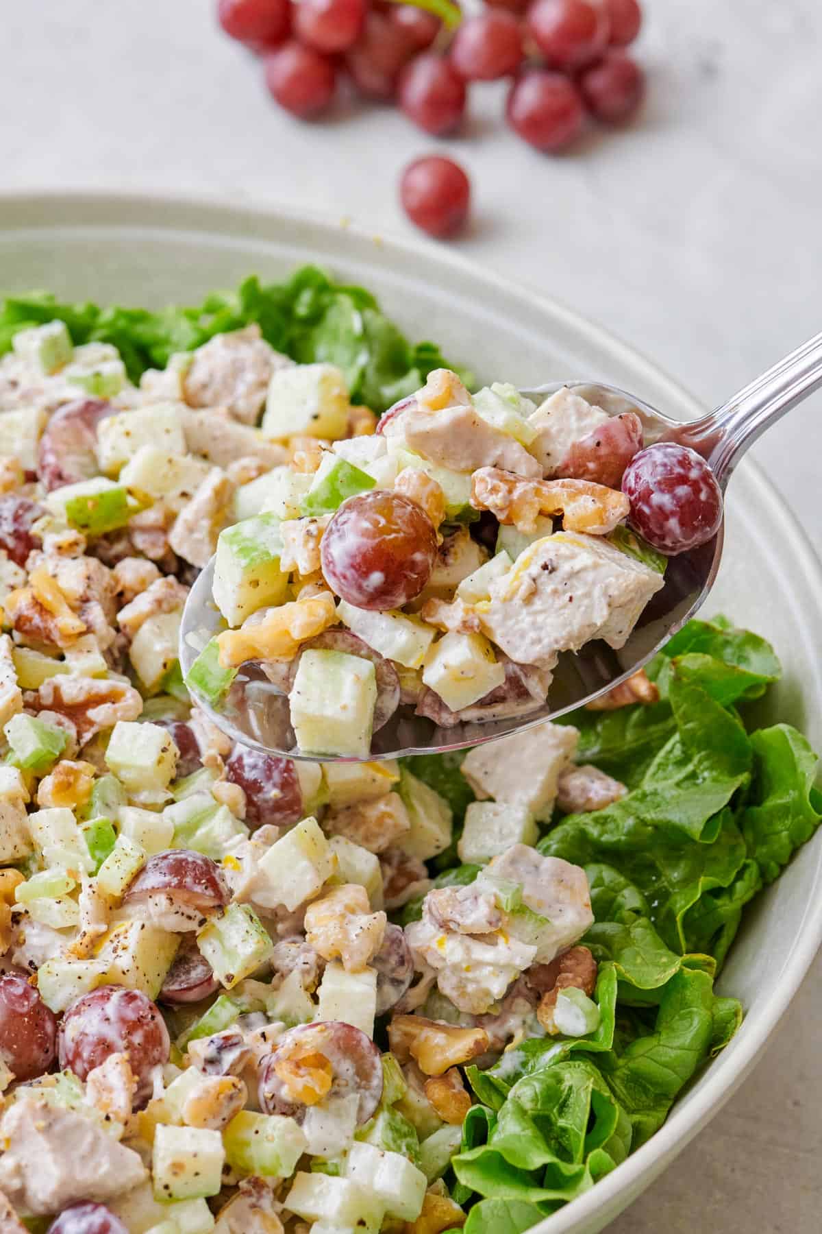 Spoon lifting up a bite of Waldorf salad.