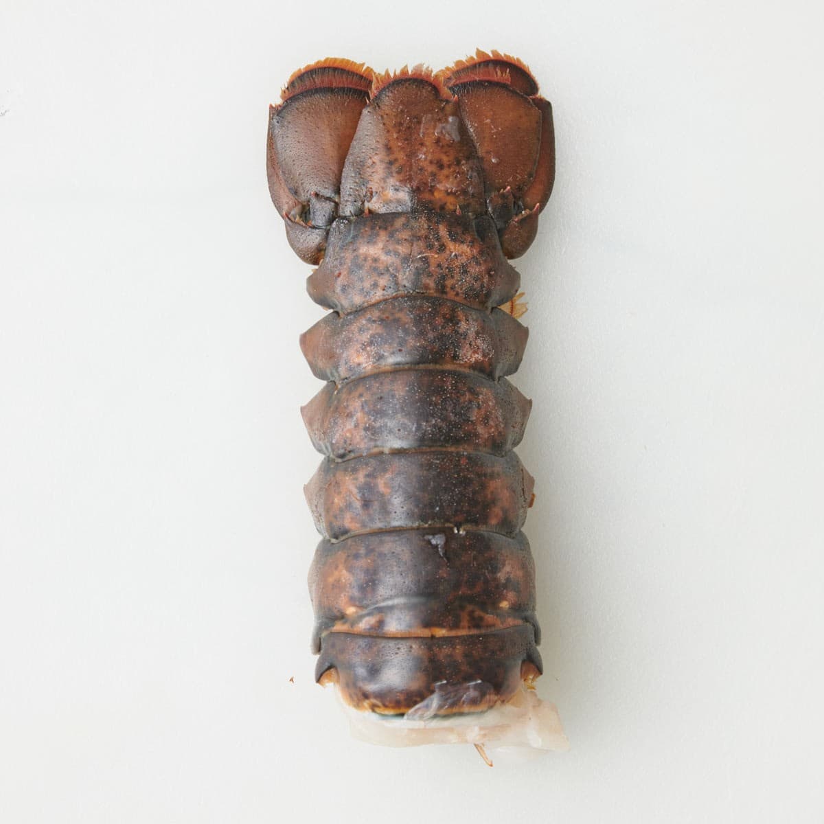Lobster tail shell side up.
