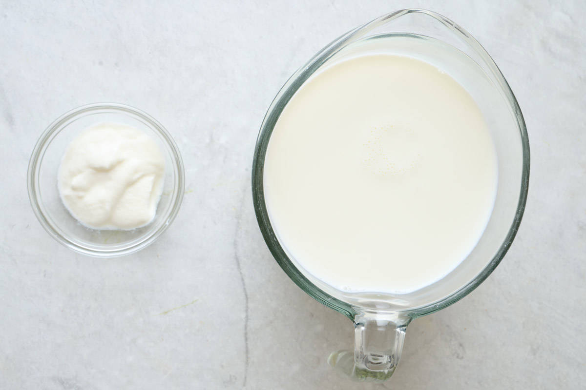 Ingredients for recipe: Milk and plain yogurt with live active cultures.