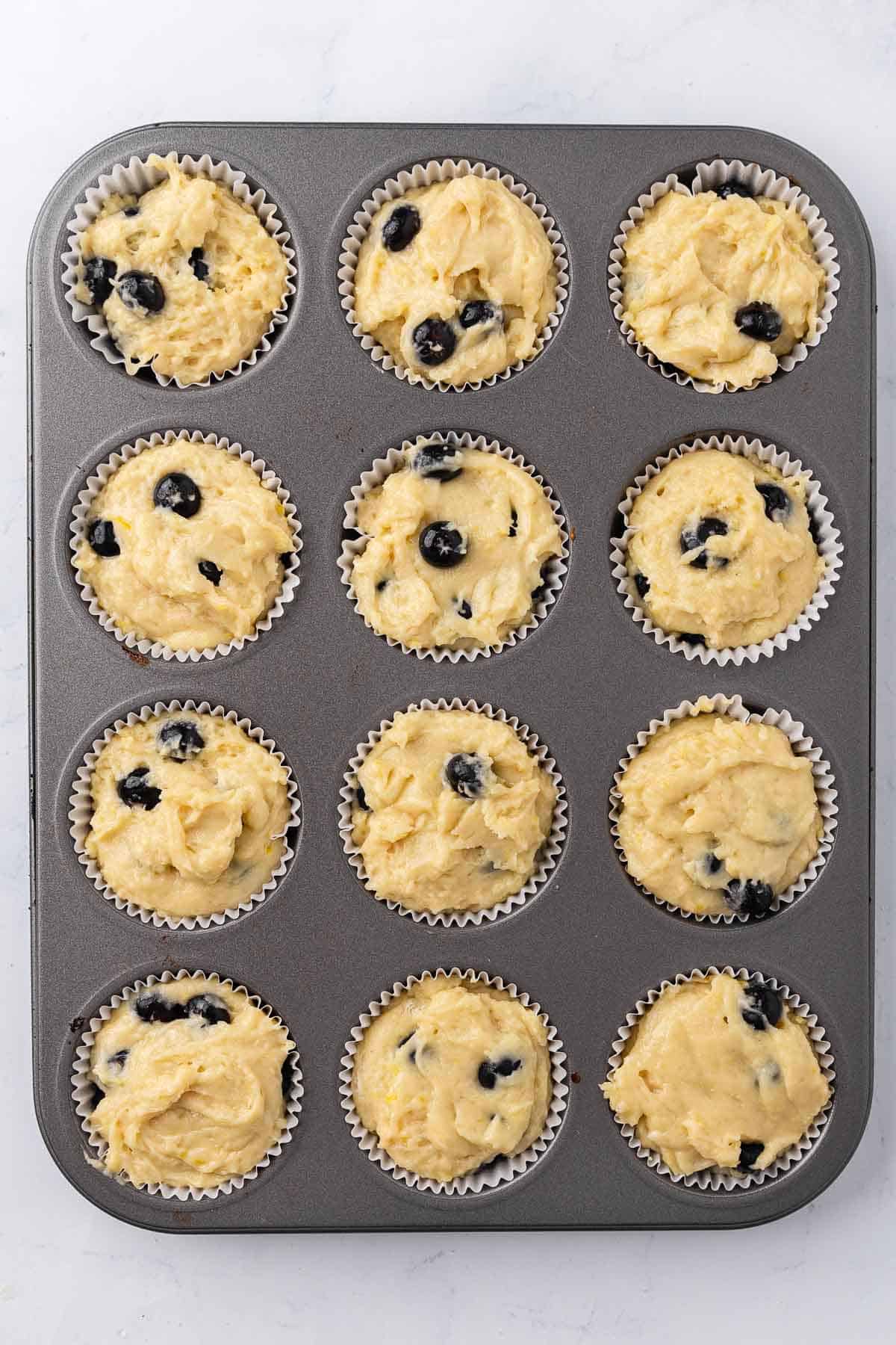 Lemon blueberry muffin batter divided evenly in the cups of a 12-cup muffin tin.