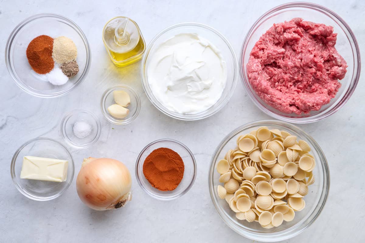 Ingredients for recipe: paprika, onion powder, salt and pepper, garlic, butter, oil, onion, orecchiette pasta, and ground beef.
