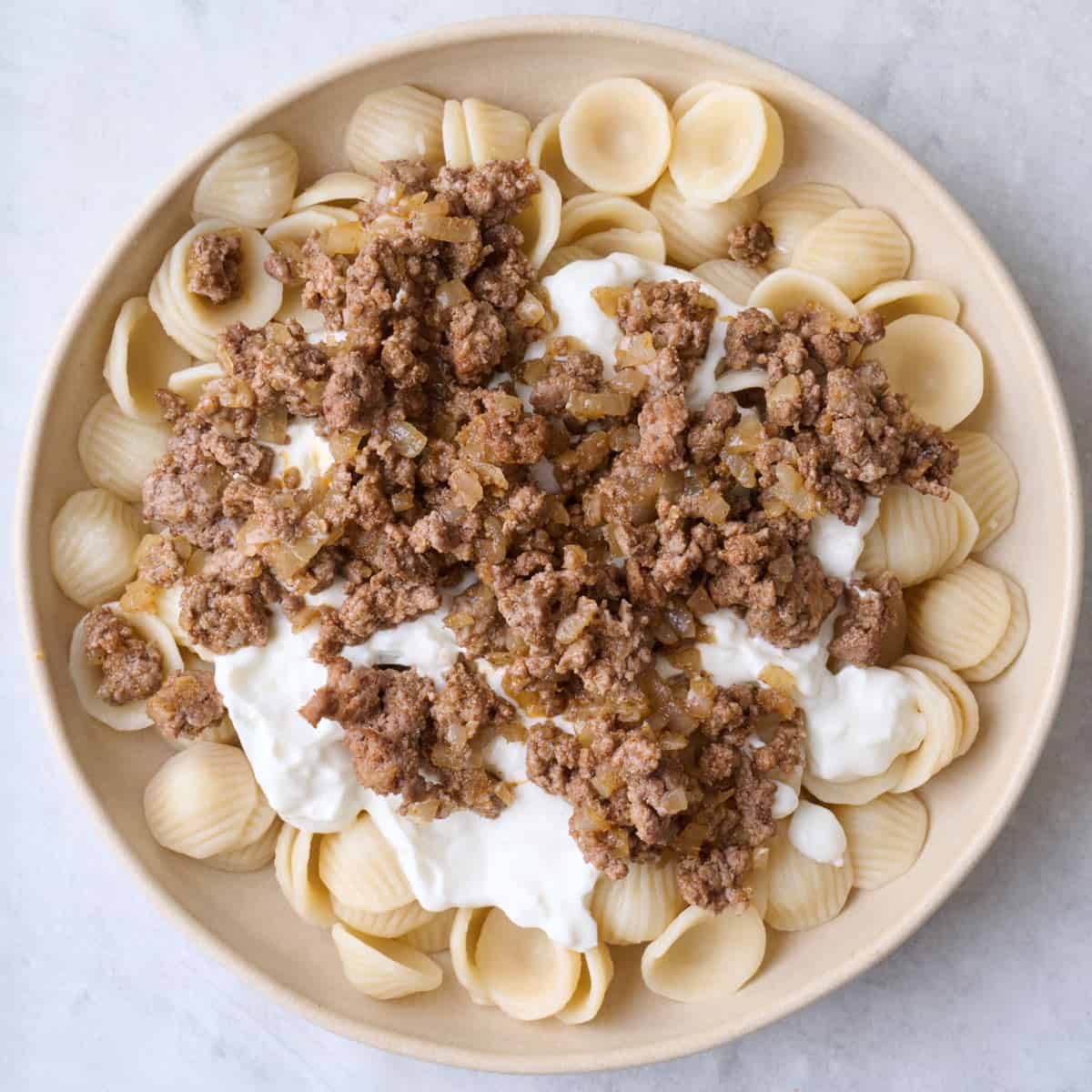 Seasoned ground beef and onions added to pasta and yogurt.
