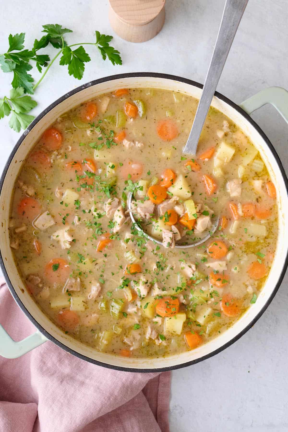 Chicken Stew in pot garnished with parsley with ladle dipped inside.