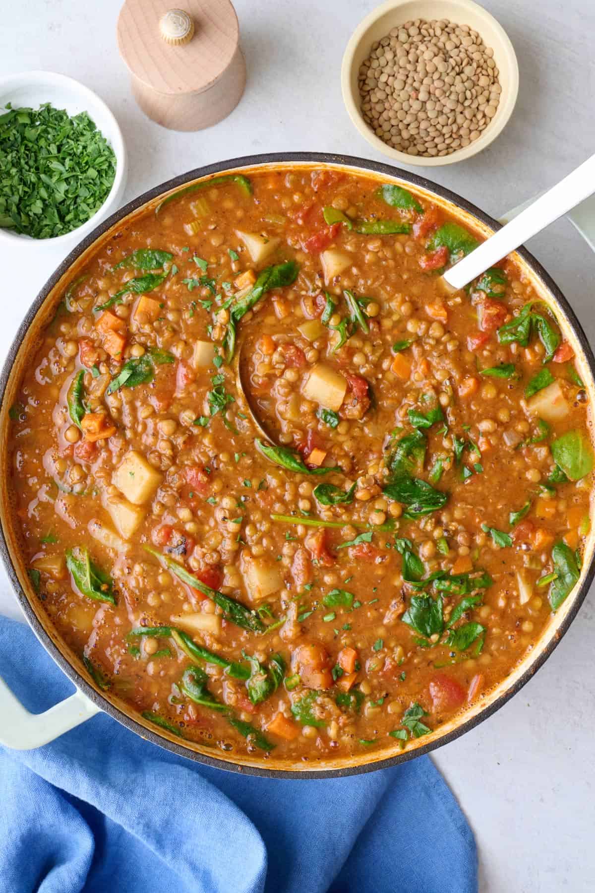 Lentil Stew in pot garnished with parsley with ladle dipped inside.