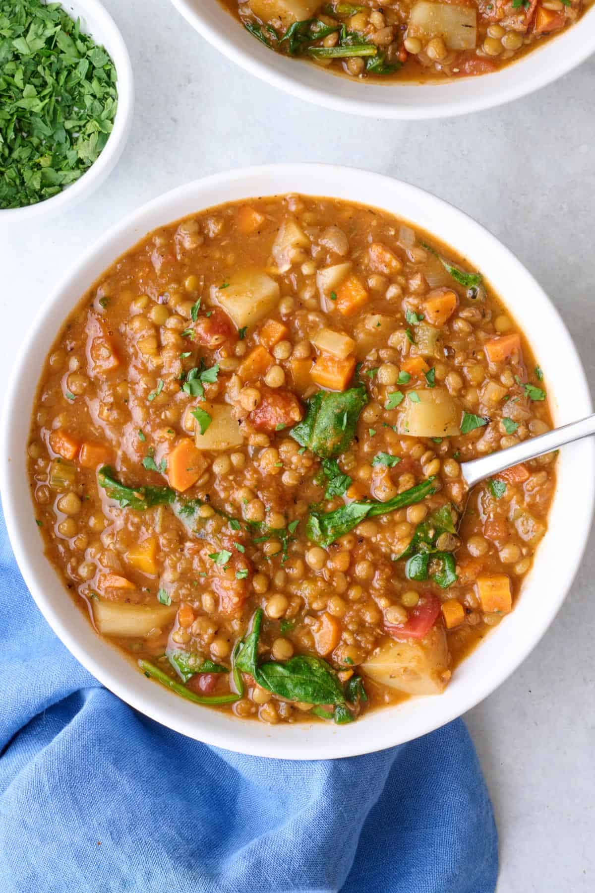 Mediterranean lentil stew with spinach in a bowl.