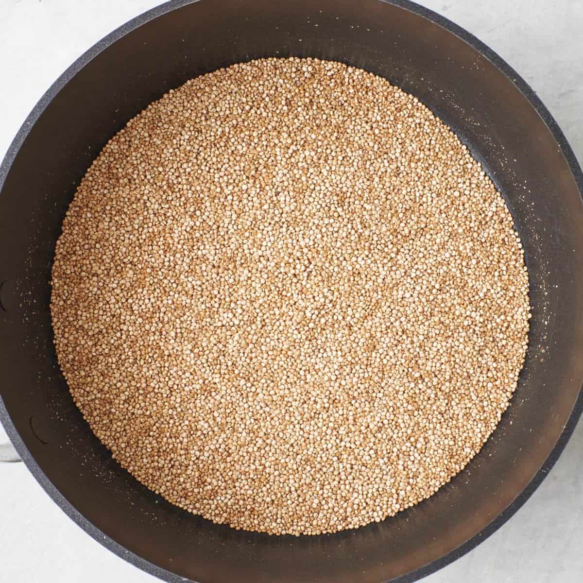 Dry quinoa in a pan after toasting.