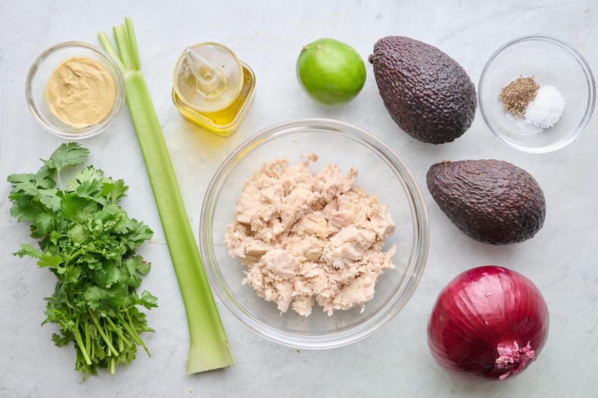 Ingredients for recipe: Dijon mustard, cilantro, celery, oil, tuna, lime, avocado, red onion, salt and pepper.