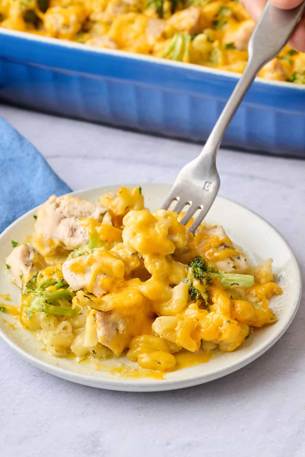 Serving of chicken broccoli pasta bake on a small plate with fork lifting up a bite and whole casserole dish nearby.