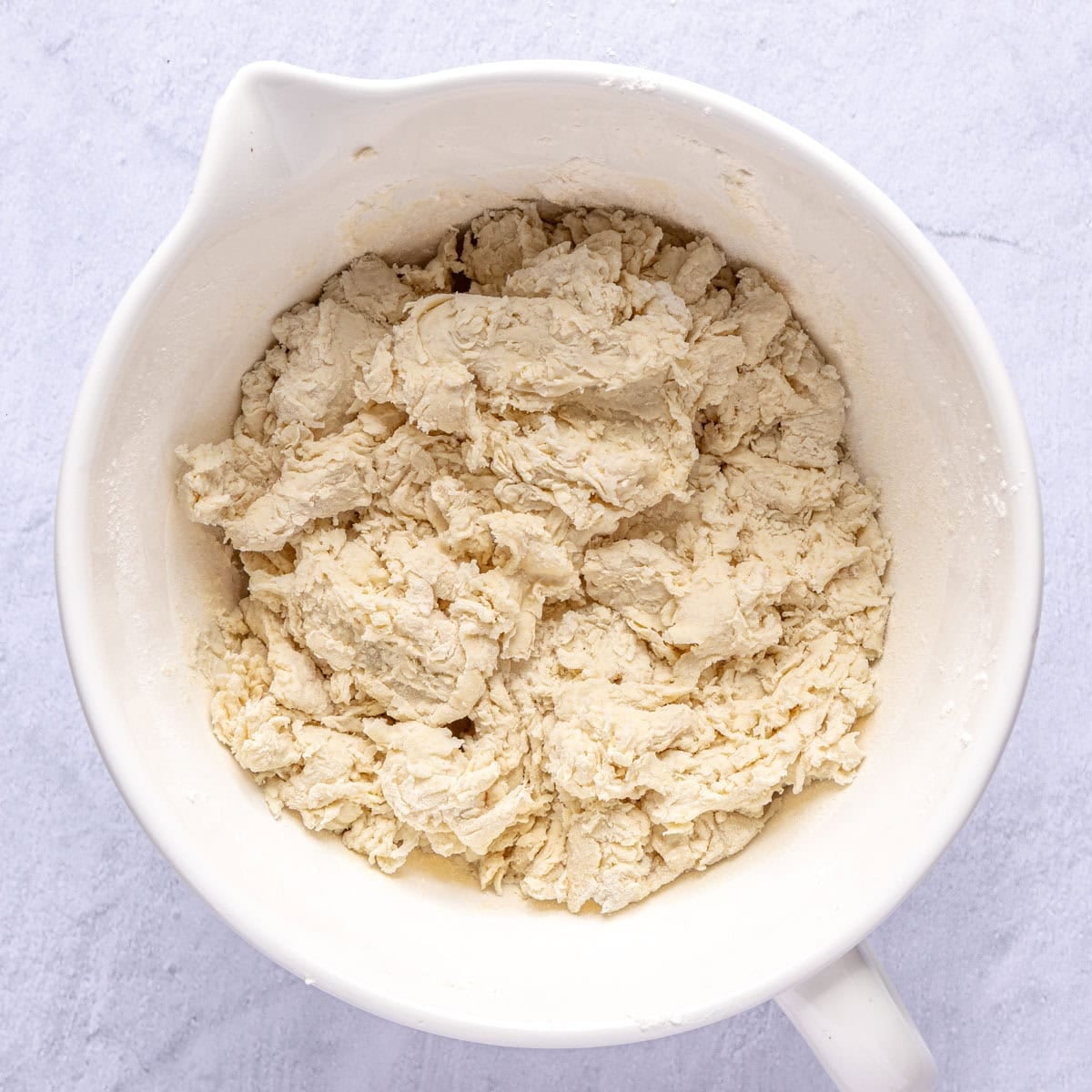 Dough after mixing into a shaggy dough.