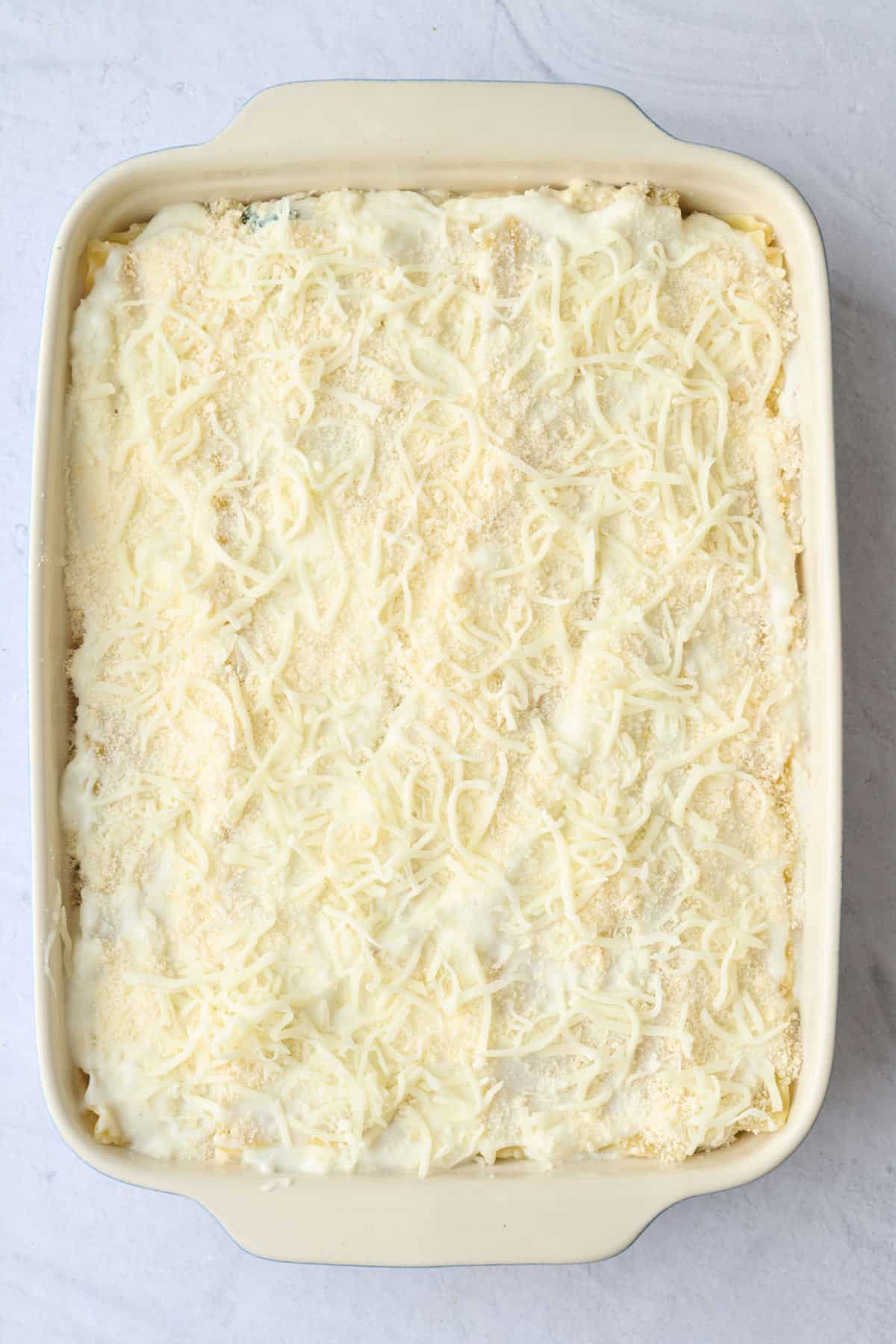 Chicken lasagna topped with final layer of sauce and cheese before baking.