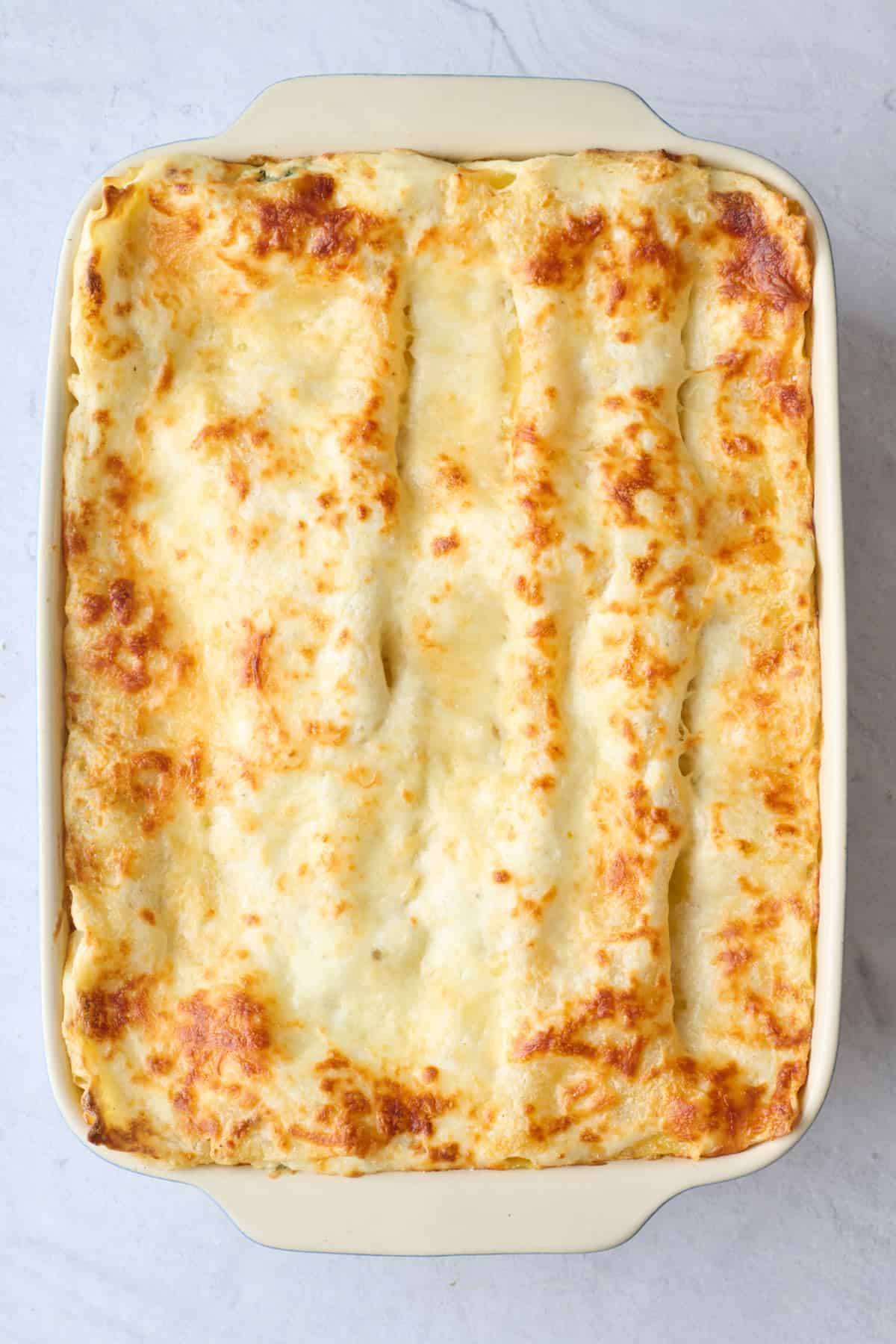 Chicken and spinach lasagna after baking until cheese is golden and bubbly.