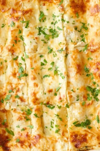 Chicken lasagna recipe.