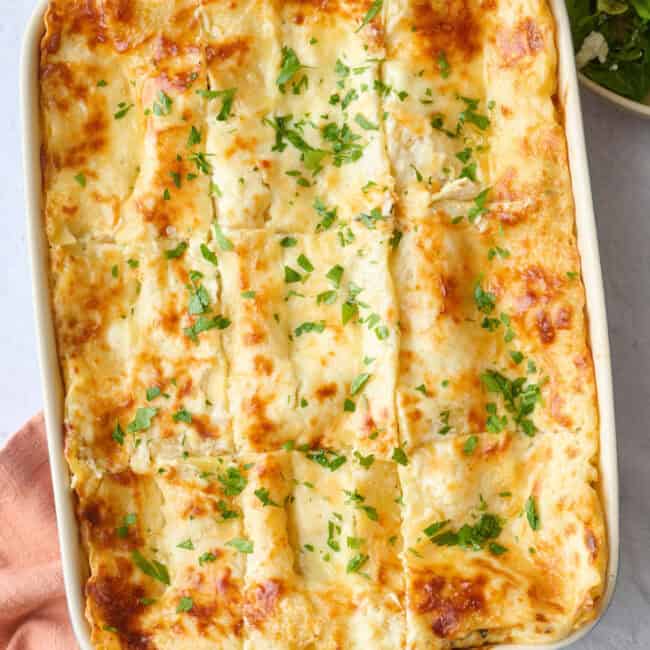 Chicken lasagna recipe.
